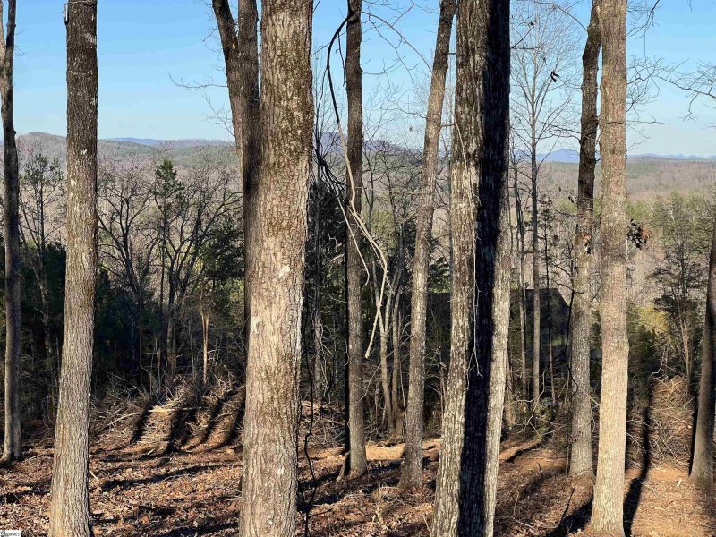 Property image 2 at 519 Hunting Hollow Drive, Salem, SC 29676