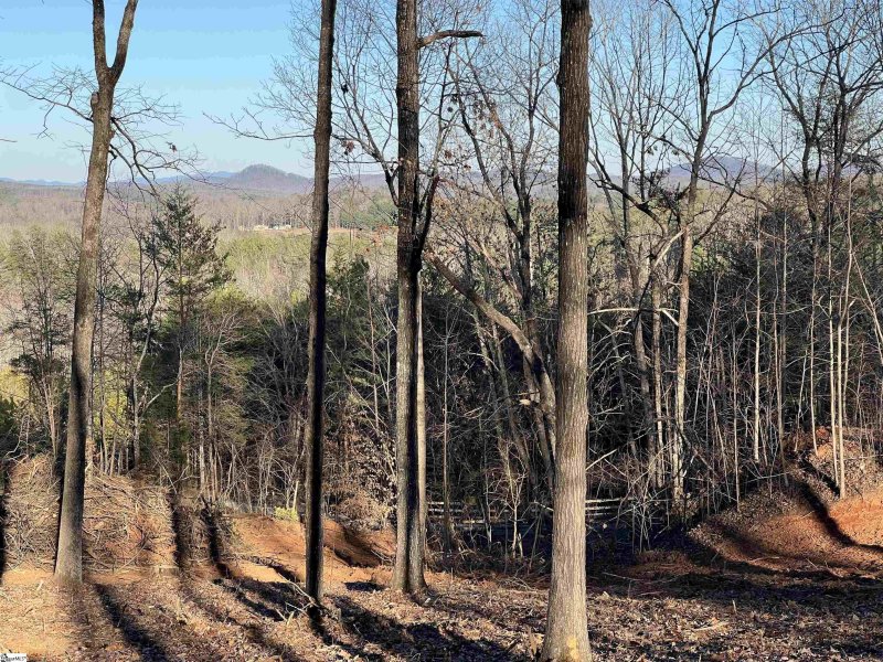Property image 3 at 519 Hunting Hollow Drive, Salem, SC 29676