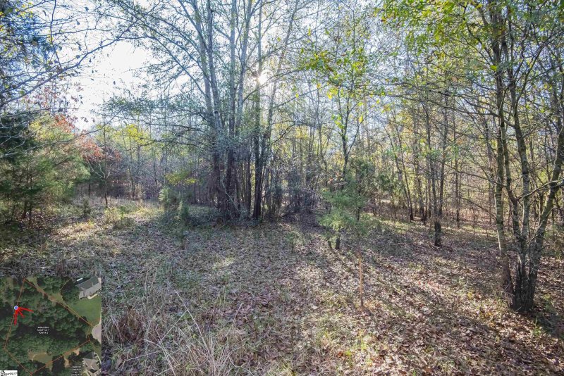 Property image 5 at 116 Vining Crossing, Belton, SC 29627