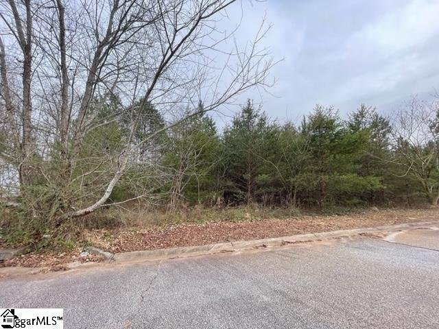 Property image 2 at 00 Riverbreeze Road, Greenville, SC 29611