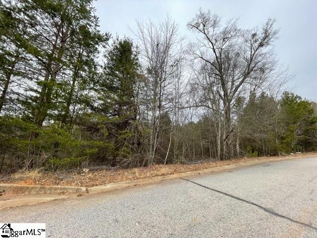 Property image 4 at 00 Riverbreeze Road, Greenville, SC 29611