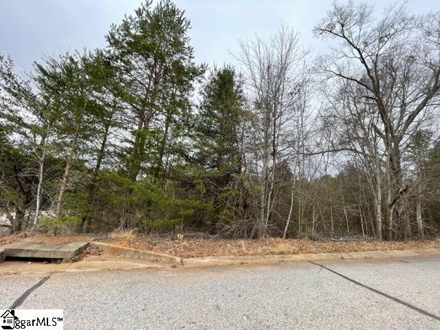 Property image 5 at 00 Riverbreeze Road, Greenville, SC 29611