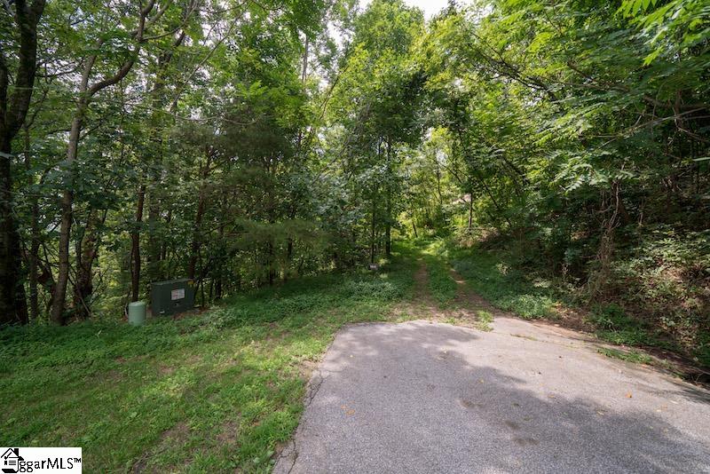 Property image 3 of 9 Pine Shadows Lane in The Cliffs at Glassy, Landrum, SC 29356