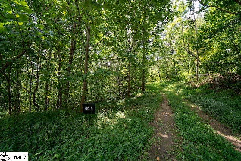 Property image 4 of 9 Pine Shadows Lane in The Cliffs at Glassy, Landrum, SC 29356