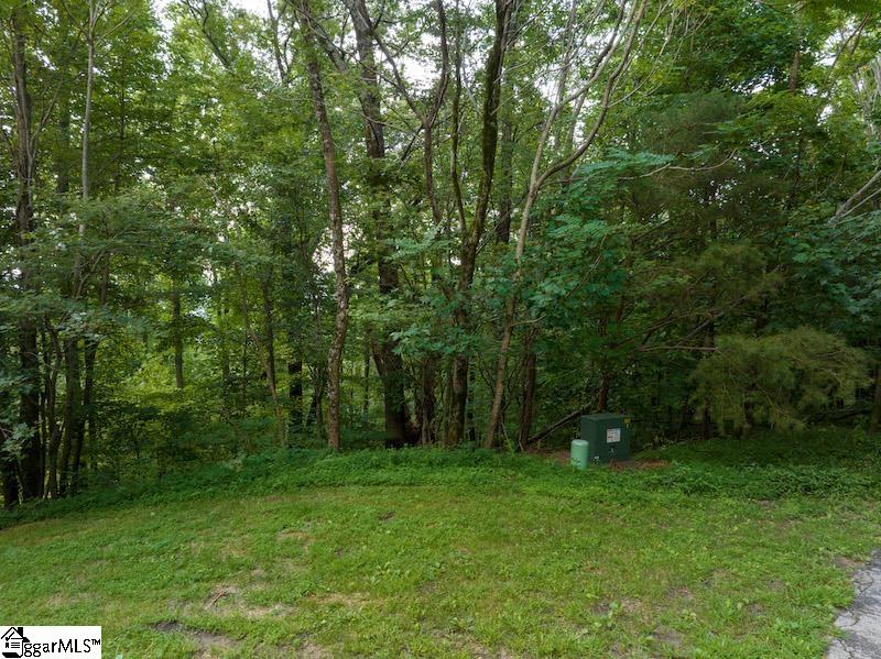 Property image 5 of 9 Pine Shadows Lane in The Cliffs at Glassy, Landrum, SC 29356