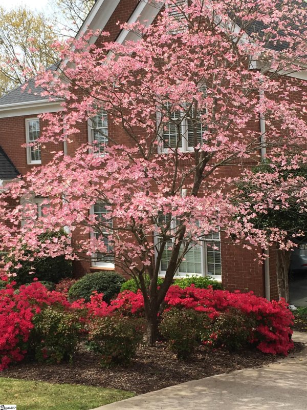 Property image 3 at 107 Berrow Way, Taylors, SC 29687