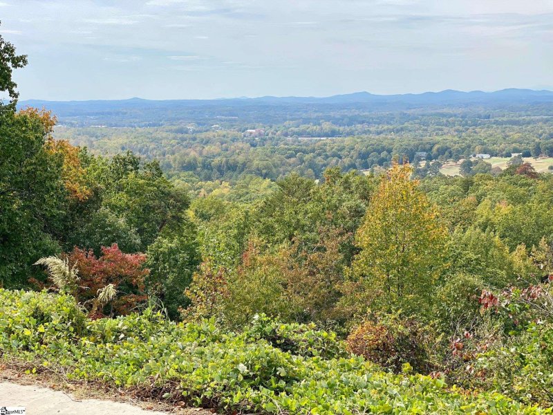 Property image 3 at 00 Altamont Road, Greenville, SC 29609