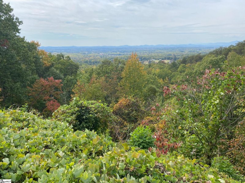 Property image 4 at 00 Altamont Road, Greenville, SC 29609