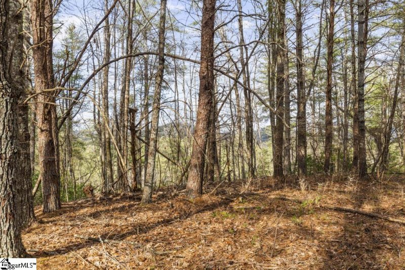 Property image 5 at 120 Sweetshrub Way, Sunset, SC 29685