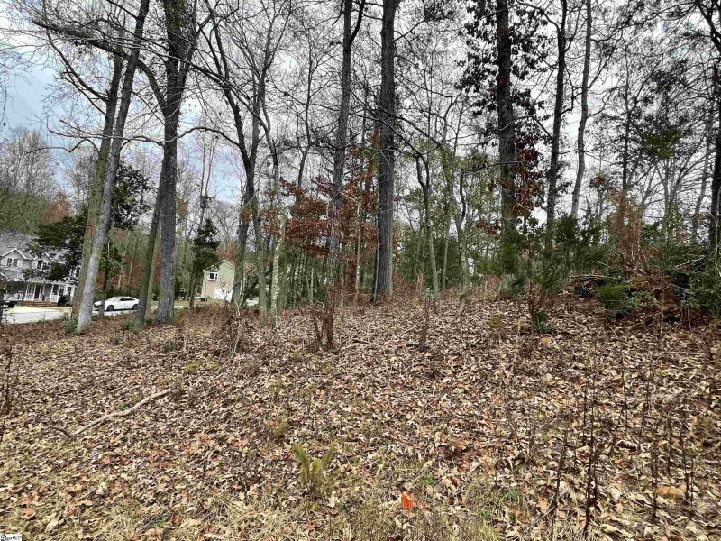 Property image 2 at 00 Beacon Ridge Drive, Seneca, SC 29678