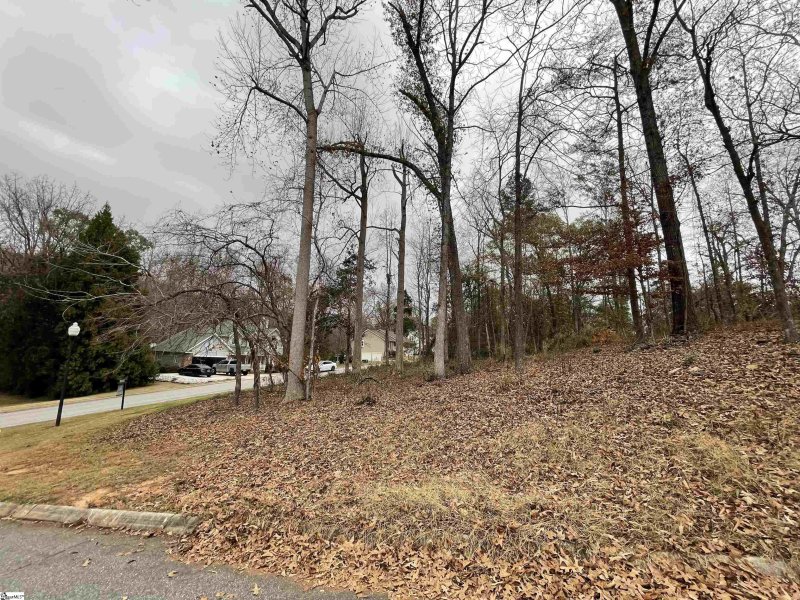 Property image 5 at 00 Beacon Ridge Drive, Seneca, SC 29678