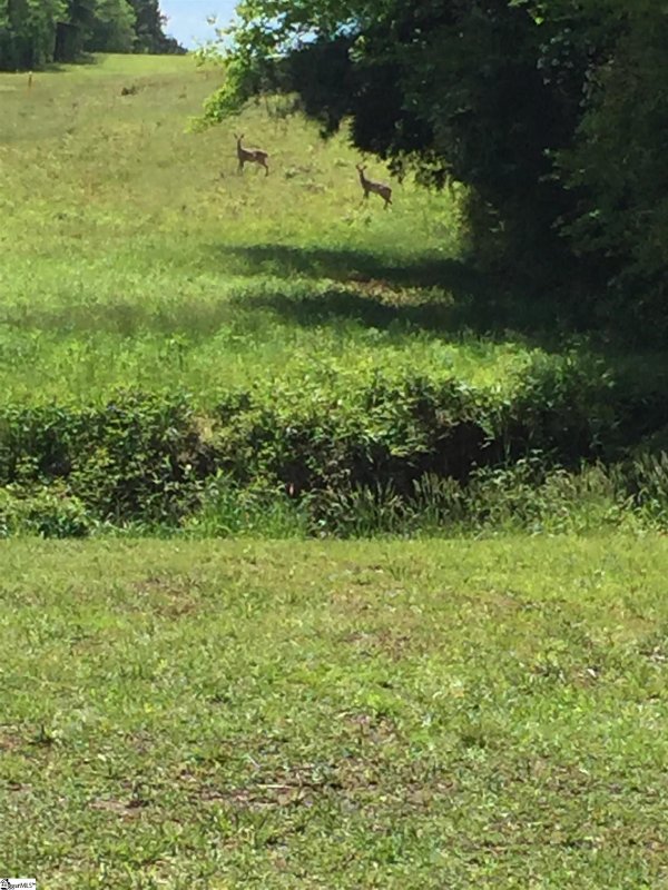 Property image 5 at 231 Janet Court, Simpsonville, SC 29681