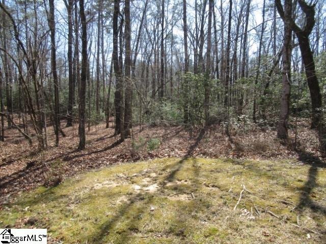 Property image 4 at 107 Locust Ridge, Cleveland, SC 29635