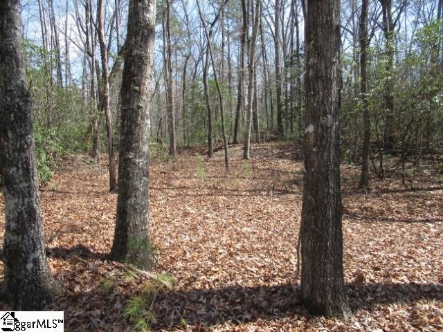 Property image 5 at 107 Locust Ridge, Cleveland, SC 29635