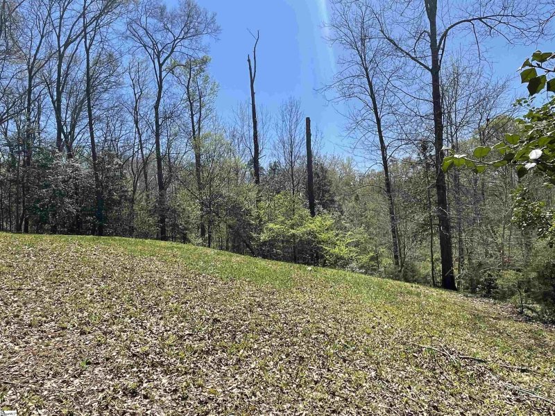 Property image 2 at 127 RIVERLOOK Lane, Piedmont, SC 29673