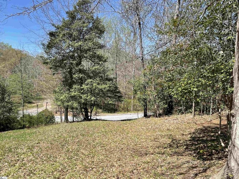 Property image 3 at 127 RIVERLOOK Lane, Piedmont, SC 29673