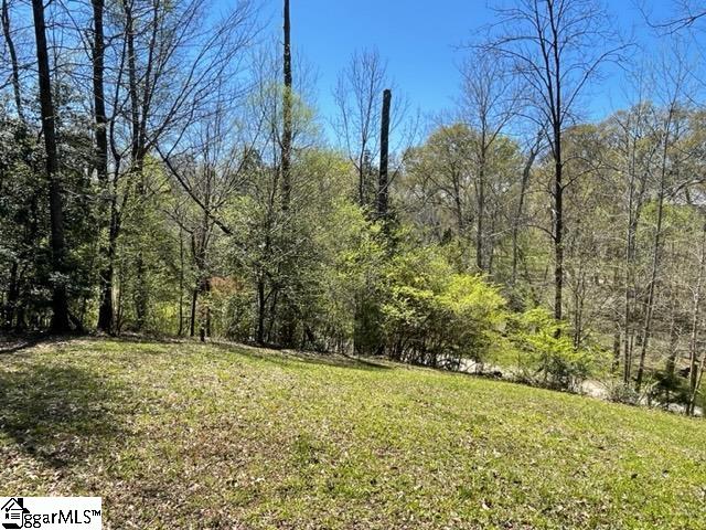 Property image 4 at 127 RIVERLOOK Lane, Piedmont, SC 29673