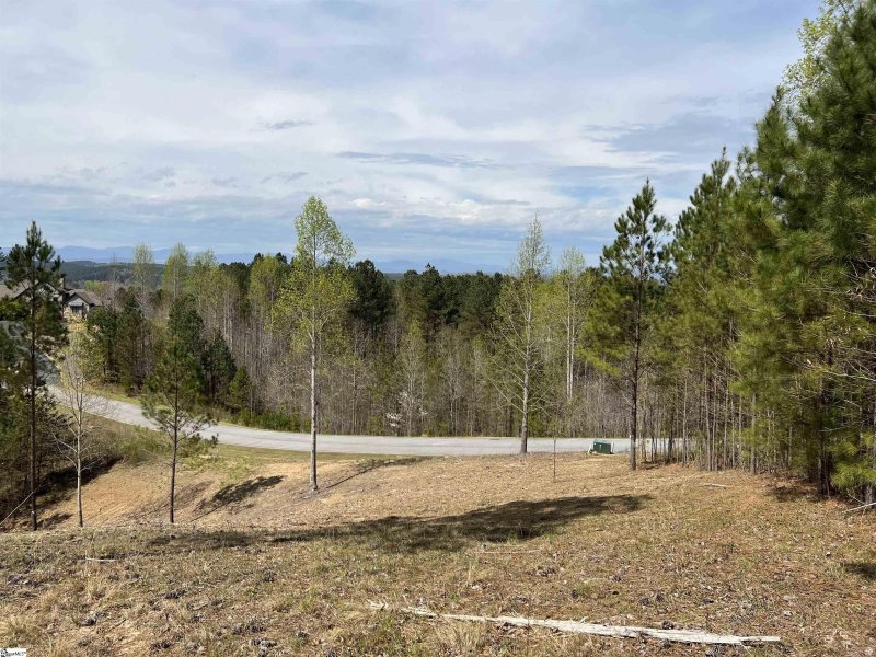 Property image 5 at 115 Hickory Springs Way, Six Mile, SC 29682