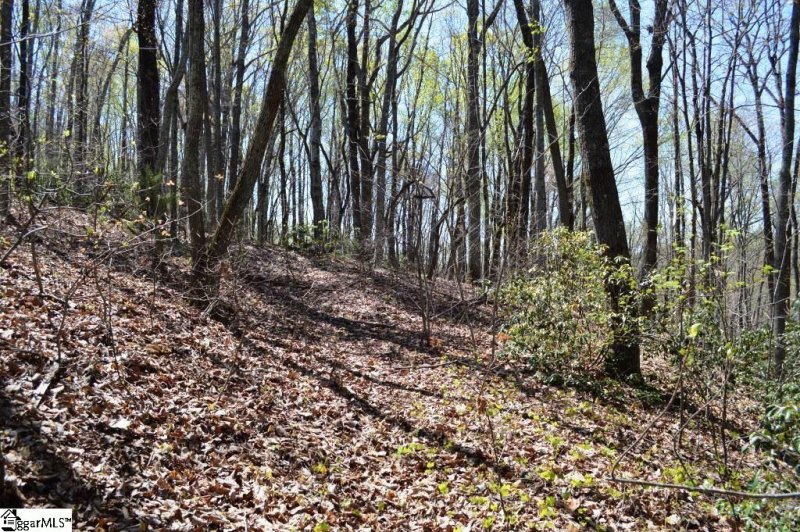 Property image 3 of 309 Laurel Valley Way in Cherokee Valley, Travelers Rest, SC 29690