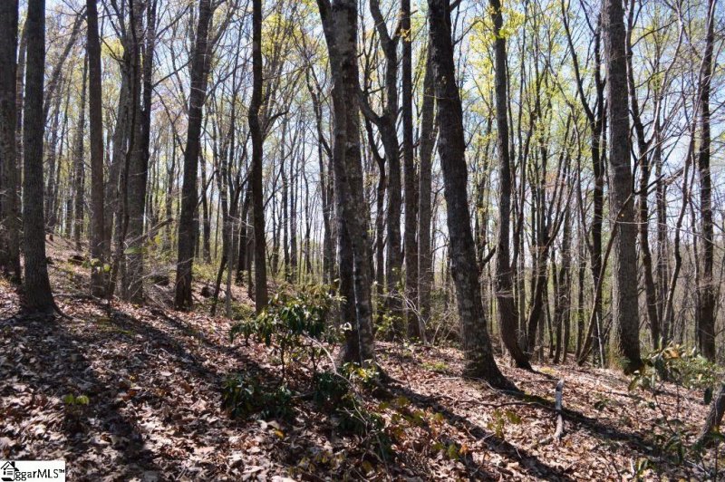 Property image 4 of 309 Laurel Valley Way in Cherokee Valley, Travelers Rest, SC 29690