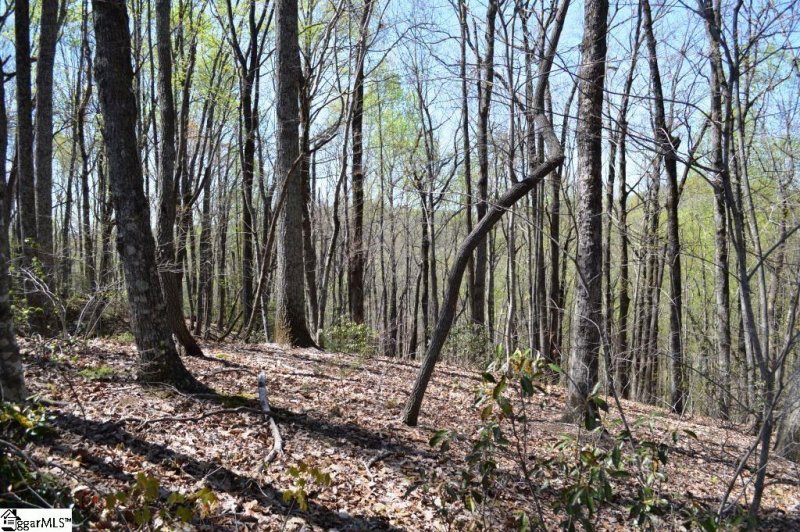 Property image 5 of 309 Laurel Valley Way in Cherokee Valley, Travelers Rest, SC 29690
