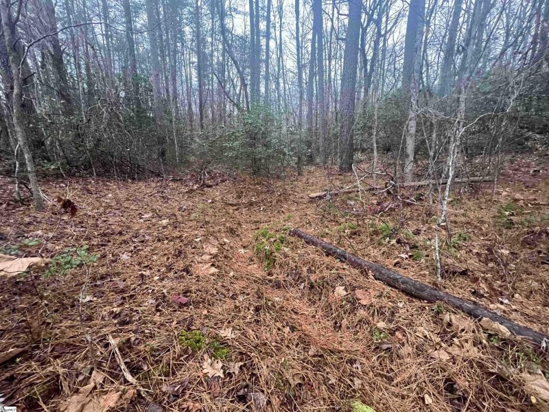 Property image 2 at 11 River Rock Court, Cleveland, SC 29635