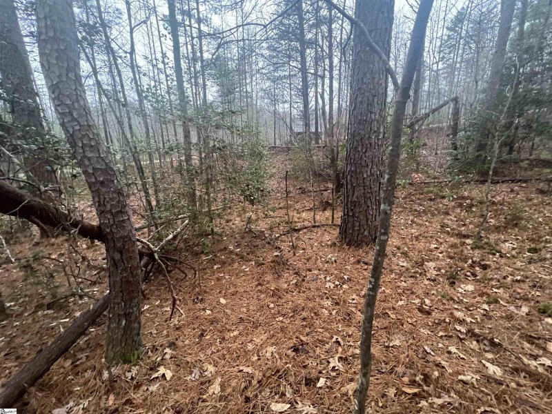 Property image 5 at 11 River Rock Court, Cleveland, SC 29635