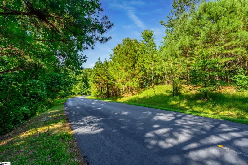 Property image 3 at 00 E Commodore Drive, Cross Hill, SC 29332