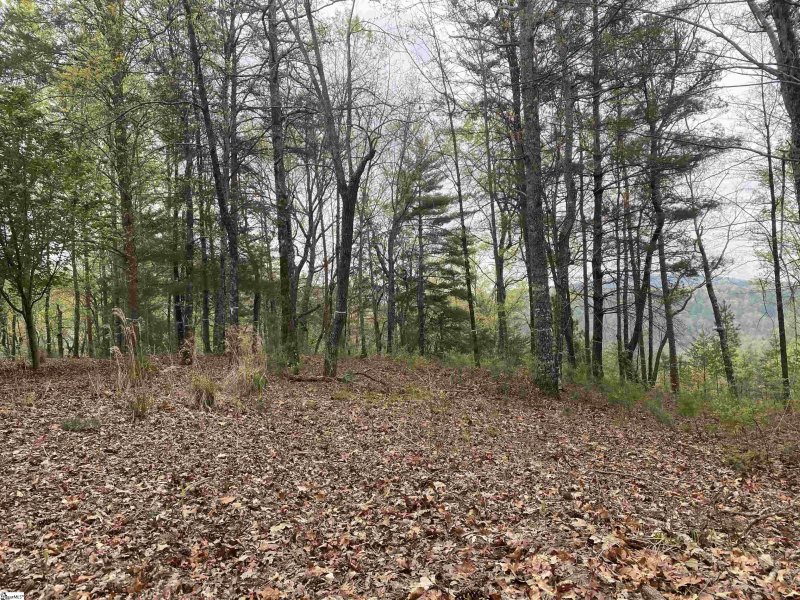 Property image 4 at 311 Eastatoe Parkway, Sunset, SC 29685