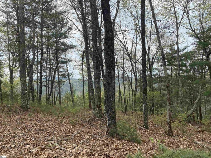 Property image 5 at 311 Eastatoe Parkway, Sunset, SC 29685