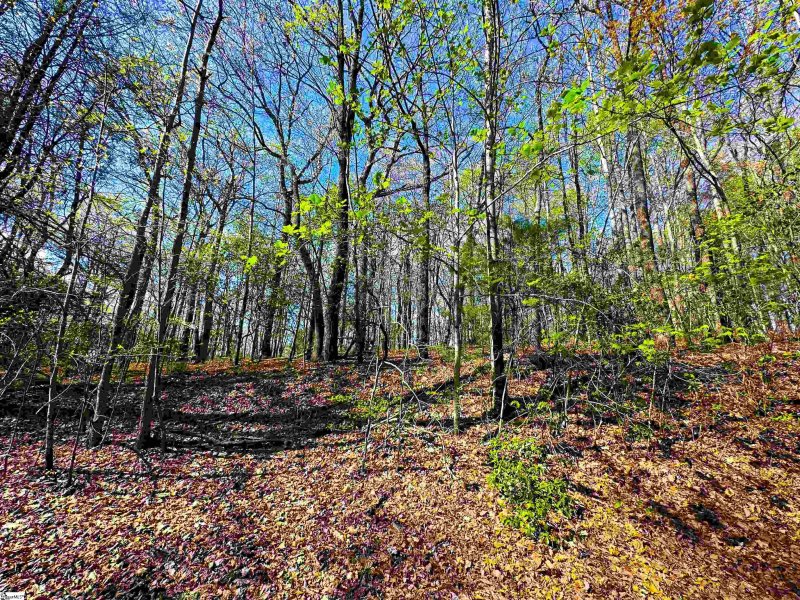 Property image 2 at 273 Delphinium Court, Cleveland, SC 29635