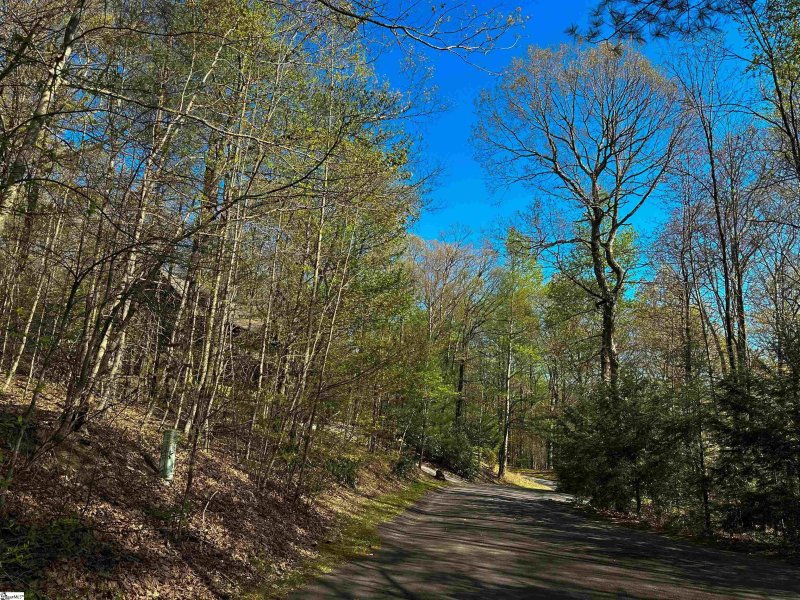 Property image 5 at 273 Delphinium Court, Cleveland, SC 29635