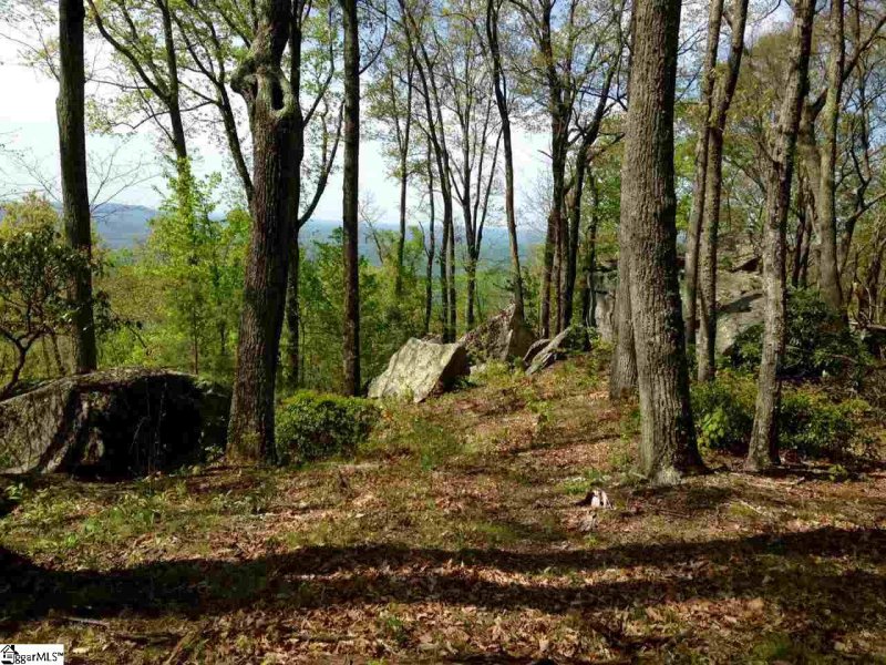 Property image 3 of 12 Drift Away Lane in The Cliffs at Glassy, Landrum, SC 29356