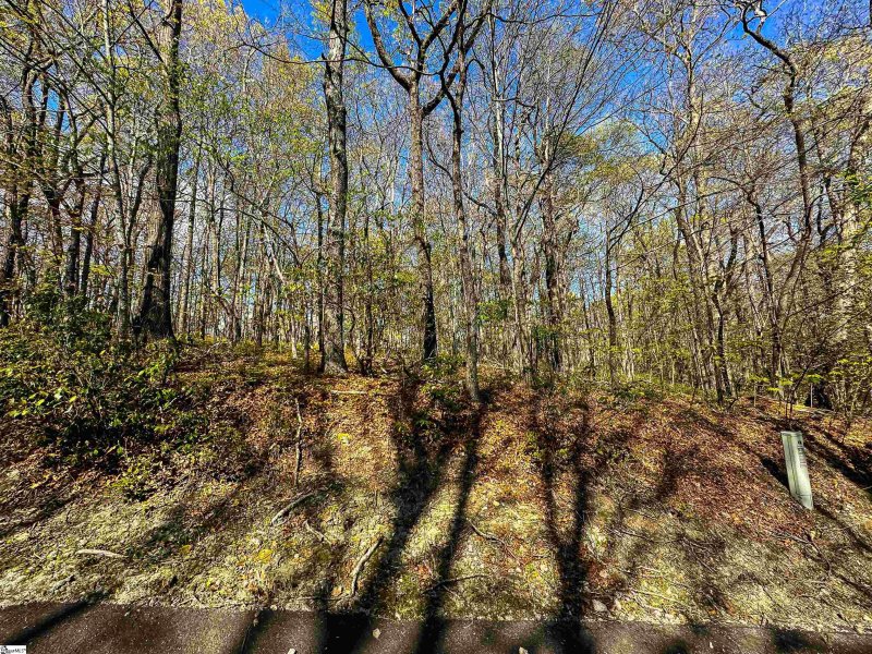 Property image 2 at 376 Sourwood Lane, Cleveland, SC 29635