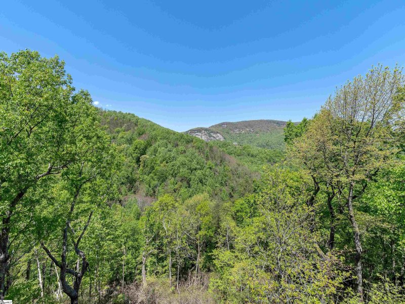 Property image 2 at 33 Eagle Rock Road, Landrum, SC 29356