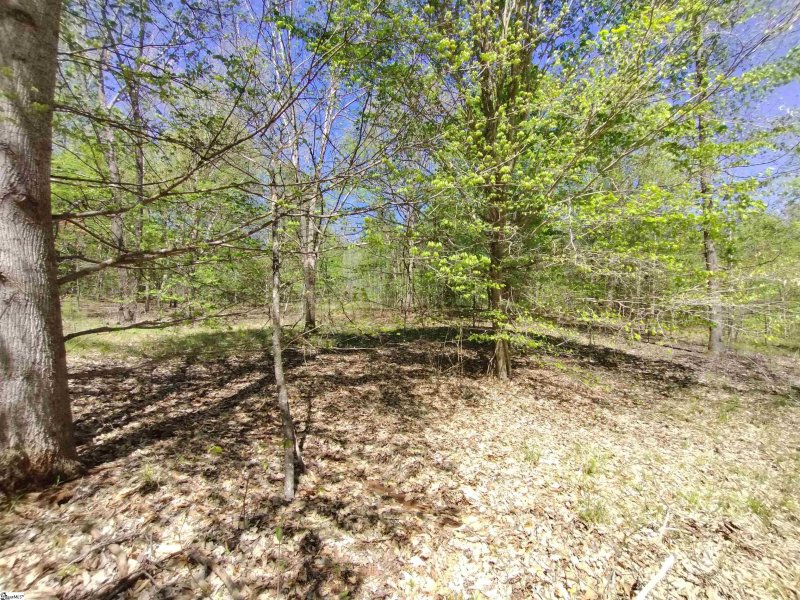 Property image 3 at 00 W Commodore Drive, Cross Hill, SC 29322