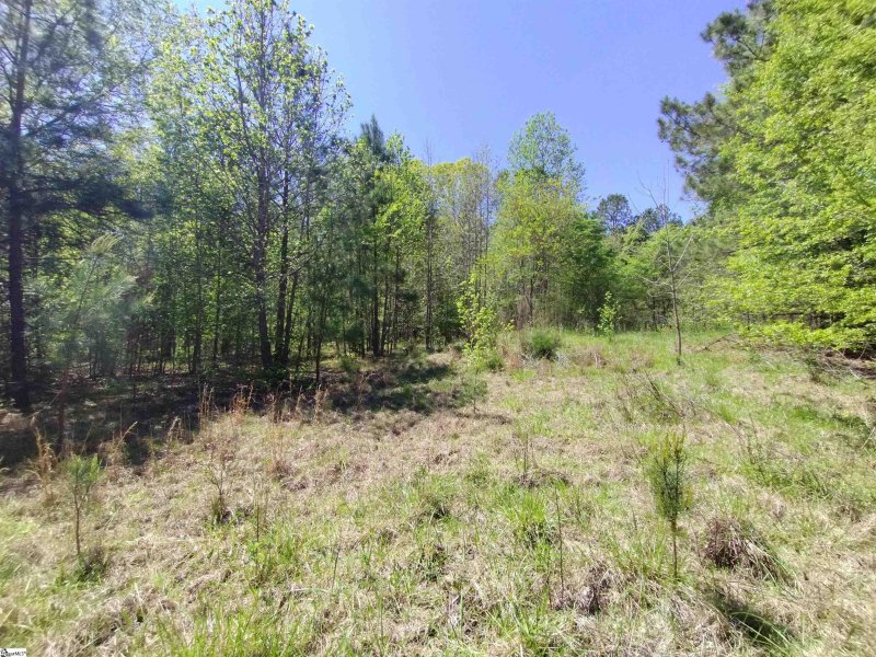 Property image 4 at 00 W Commodore Drive, Cross Hill, SC 29322