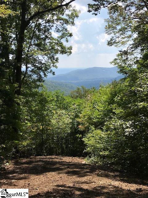 Property image 5 of 1335 Panther Park Trail in Cliffs Valley, Travelers Rest, SC 29690