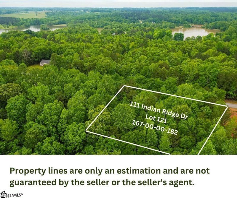 Property image 5 at 111 Indian Ridge Drive, Laurens, SC 29360