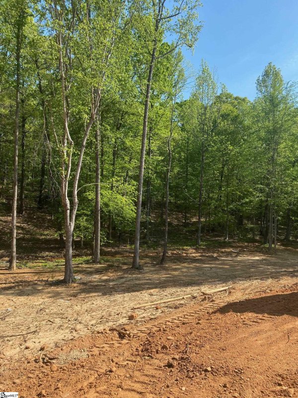 Property image 2 at 225 Destiny Drive, Gray Court, SC 29645