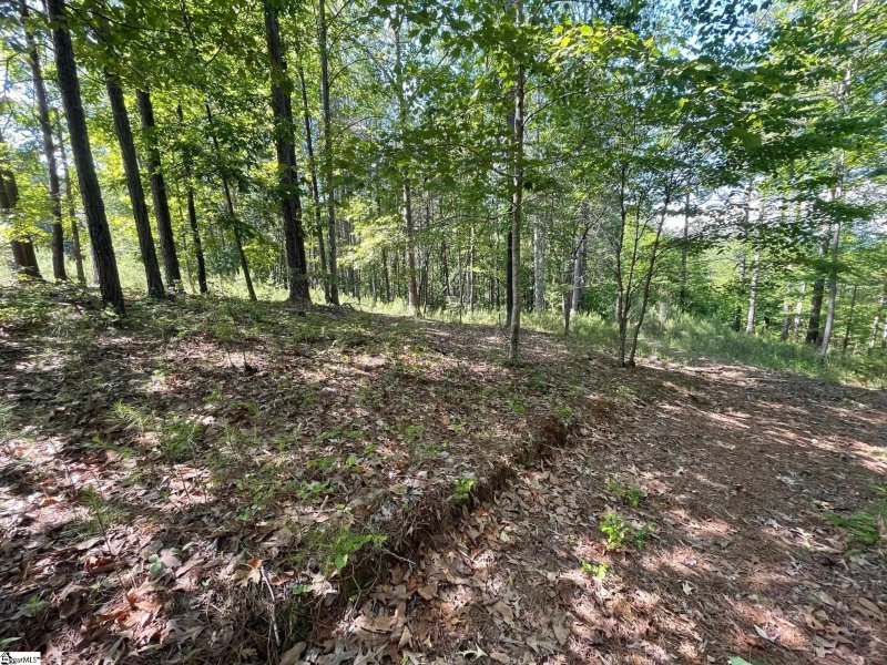 Property image 3 at 196 Creek Stone Court, Six Mile, SC 29682