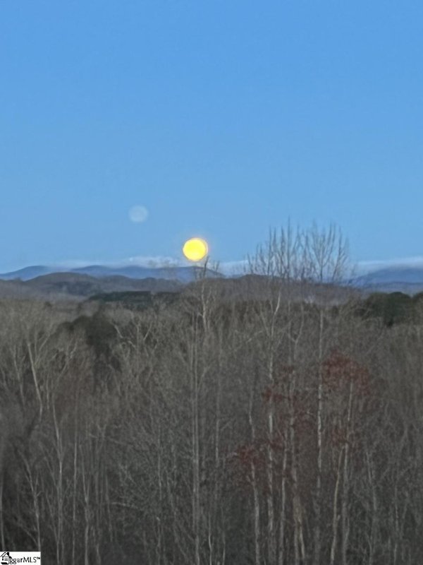 Property image 5 at 228 Deer Thicket Way, Taylors, SC 29687