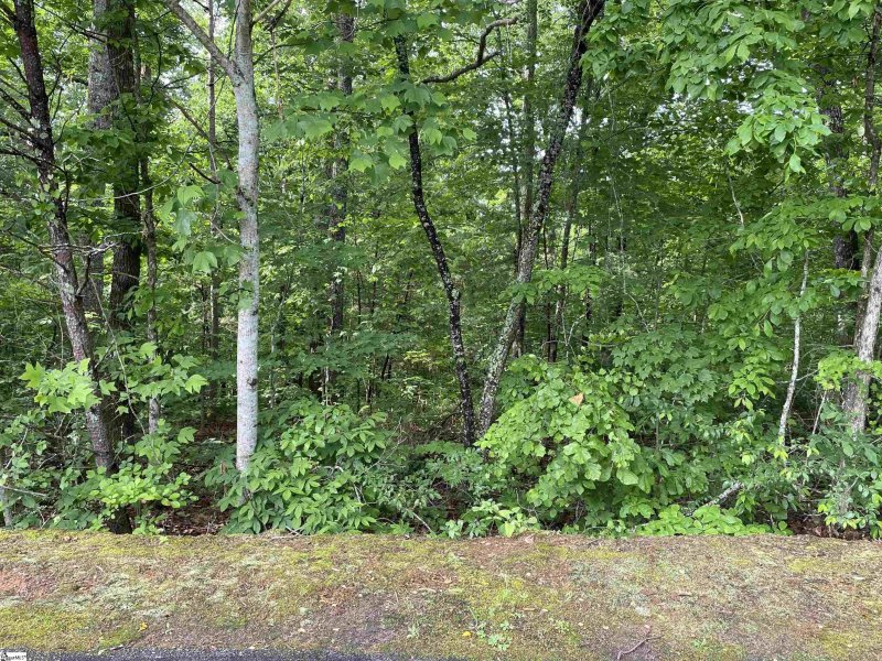 Property image 2 at 107 Cabernet Way, Travelers Rest, SC 29690