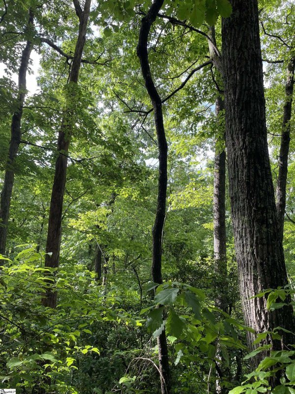 Property image 5 at 107 Cabernet Way, Travelers Rest, SC 29690