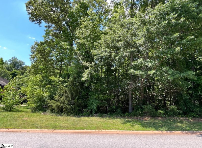 Property image 3 at 210 Golden Willow Court, Easley, SC 29642