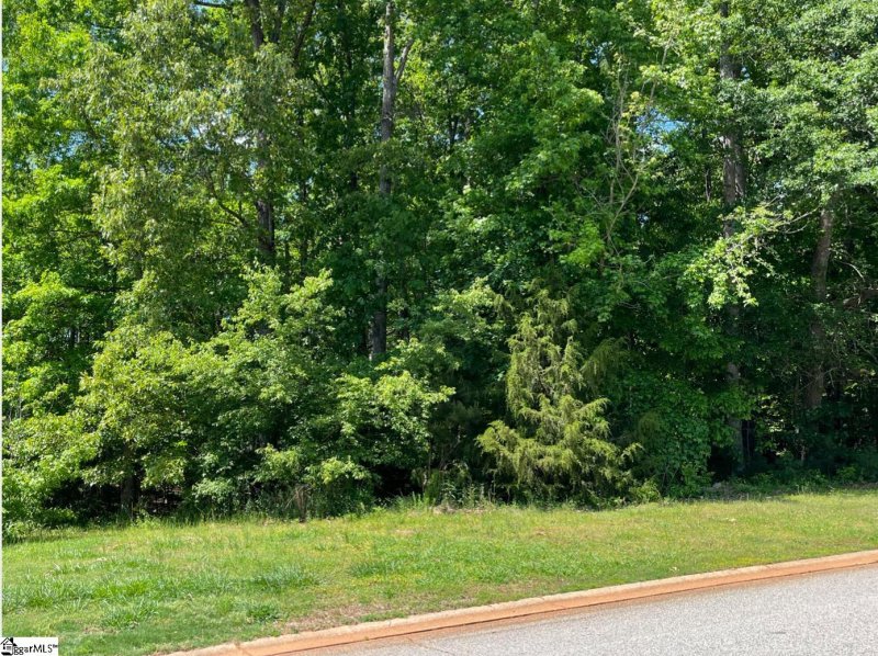 Property image 4 at 210 Golden Willow Court, Easley, SC 29642