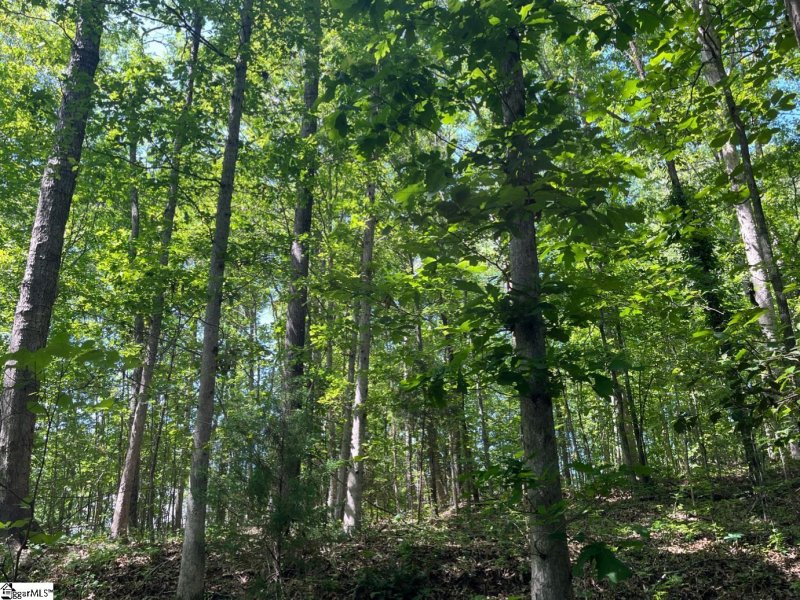 Property image 5 at 210 Golden Willow Court, Easley, SC 29642