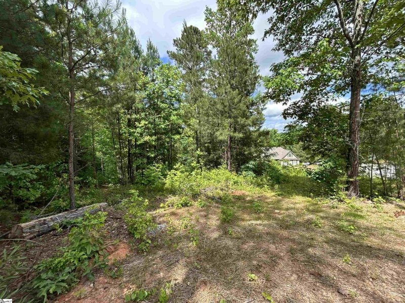 Property image 3 at 25 Tee Box Lane, Travelers Rest, SC 29690