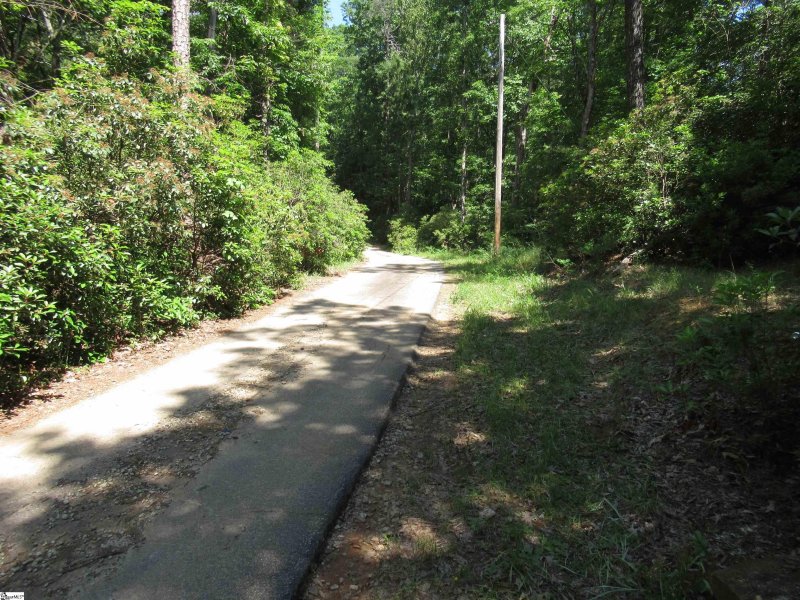 371 Gauley Falls Road