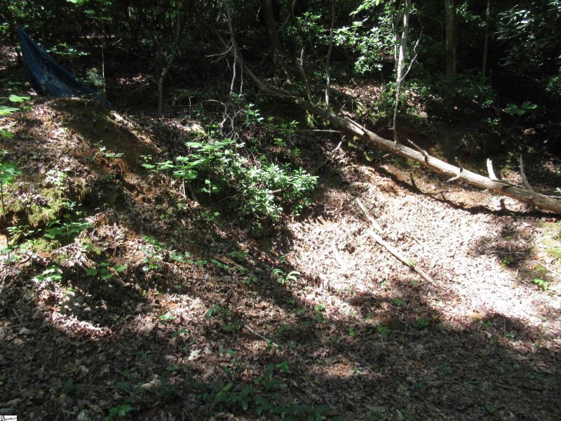 Property image 3 at 371 Gauley Falls Road, Pickens, SC 29671